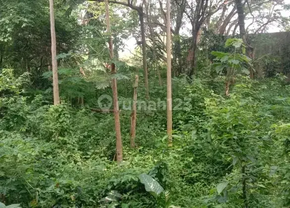 Tanah di Jangli Raya, Candisari 2