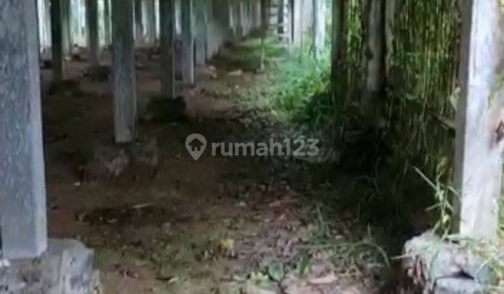 Tanah Ex Peternakan Ayam, Ada View Perbukitan di Limbangan, Sumowono 2