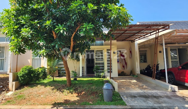 Rumah Full Perabotan, Siap Pakai di Forrest Hill, Ciputra Bsb, Mijen, Ngaliyan 1