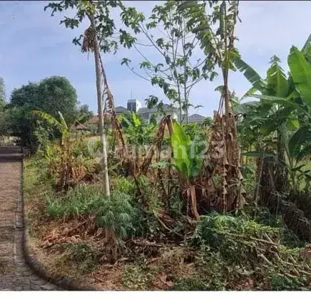 Tanah Perumahan Siap Bangun Dekat Undip di Permata Hijau, Tembalang, Semarang Selatan 2