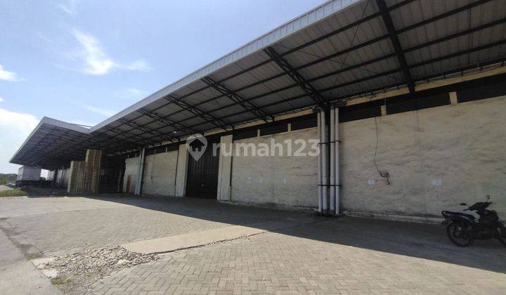 Disewakan Gudang di Romokalisari Gresik Murah 4