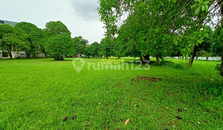 Quick Sale Price Below NJOP Large Plot Kebagusan