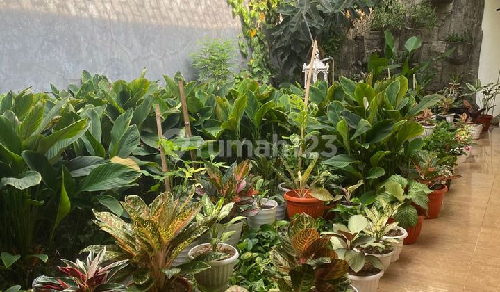 Dikontrakan Rumah Sunter Agung Komplek Bagus 4 Kamar Dekat Kelapa Gading Kemayoran 2