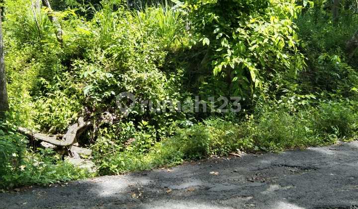 Tanah Murah Zona Industri Tawangsari Sukoharjo 2