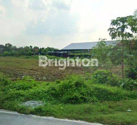 Tanah Murah Solo Siap Bangun Dekat Exit Tol Karanganyar 1