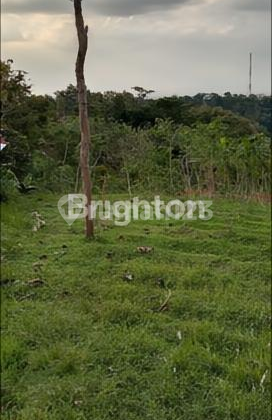 Tanah Murah Asri Di Ngargoyoso Kemuning Karanganyar