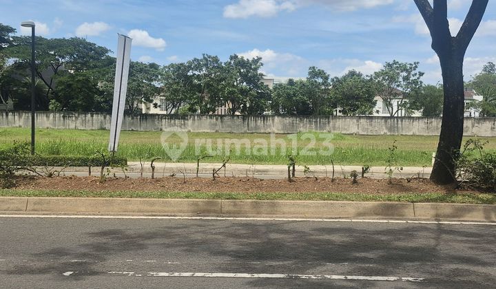 Commercial Plot BSD Raya Utama Near Qbig and Aeon East Facing Commercial Plot BSD Raya Utama Near Qbig and Aeon East Facing