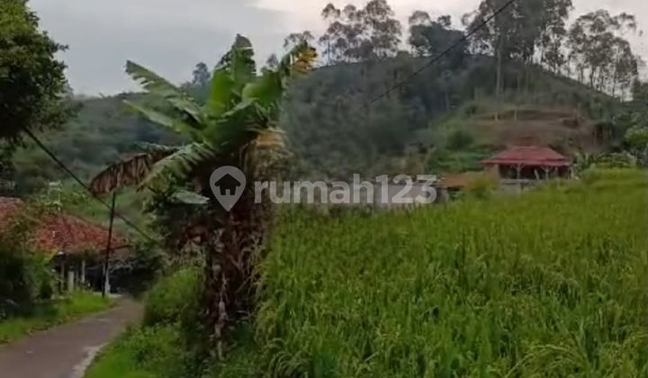 Tanah Ciwidey, Bandung Tanah Ciwidey, Bandung