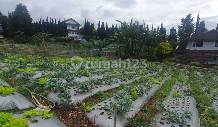 Asri Lembang Land Asri Lembang Land