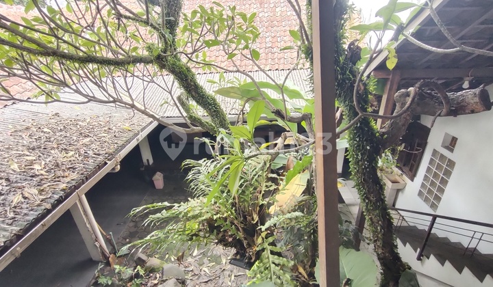 Ruang Usaha Di Mainroad Pajajaran Shm Utara