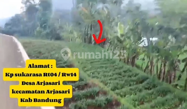 Tanah Kebun Di Wanasari Arjasari Banjaran, Shm Tanah Kebun Di Wanasari Arjasari Banjaran, Shm