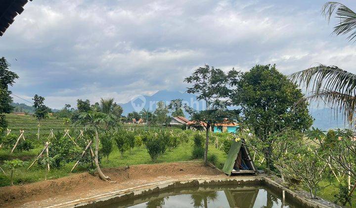 Villa Dan Kebun Jeruk Cimaung 10
