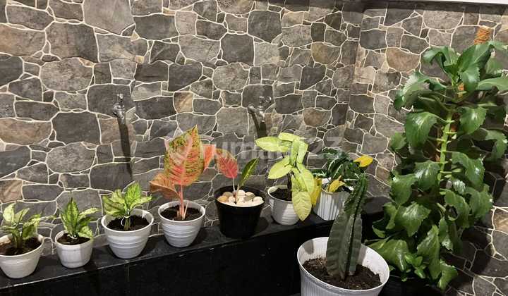 Rumah Bagus Komplek Buana Soetta Residence 2