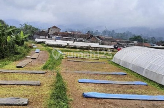 Tanah + Rumah Tenjolaya Ciwidey Hitung Tanah Tanah + Rumah Tenjolaya Ciwidey Hitung Tanah
