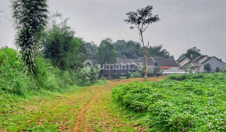 Dijual Tanah Kebun, Area Tajur Halang Bogor 1