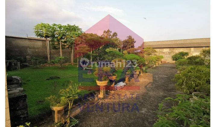 Tanah Sewa Gribig  5