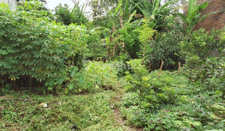 Dijual Tanah Strategis, Mainroad komplek di Suka Asih, sebrang Dinas PU, Bina Teknik, Bintek 5