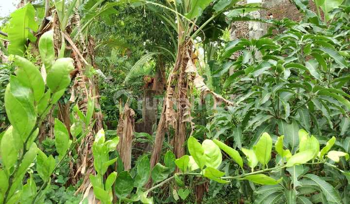Dijual Tanah Strategis, Mainroad komplek di Suka Asih, sebrang Dinas PU, Bina Teknik, Bintek 7