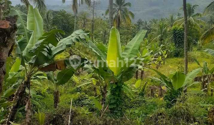 Sell Very Cheap Land, Yellow Zone in Cipatat Only 350M² From Provincial Road - West Bandung