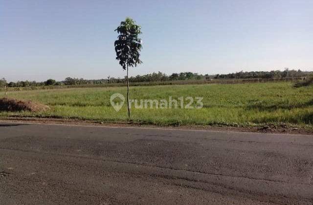 Dijual Tanah Komersial Zona Industri, Izin Industri Pabrik, Gudang, Tanah Siap Bangun, Murah Banget Di Ujung Jaya, Kabupaten Sumedang, Jawa Barat 1