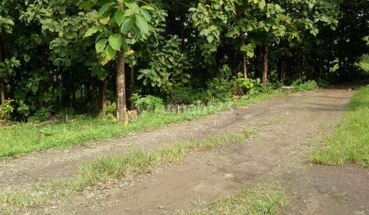 Dijual Tanah Murah Pisan, Cocok Untuk Invest, Komersial, Strategis Di Ujung Jaya, Sumedang Dkt Tol Cisumdawu 1