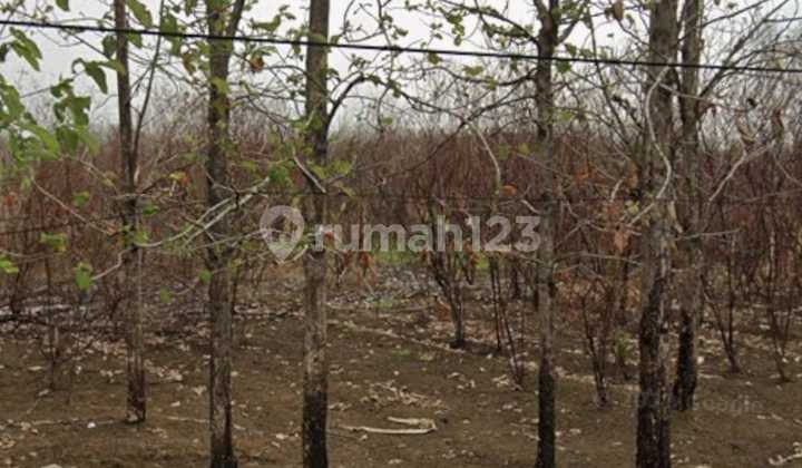 Dijual Cepat, Murah Sekali, Tanah Padat, Siap Bangun Kawasan Industri Zona Abu, di Ujung Jaya Sumedang Dkt Tol Cisumdawu Dijual Cepat, Murah Sekali, Tanah Padat, Siap Bangun Kawasan Industri Zona Abu, di Ujung Jaya Sumedang Dkt Tol Cisumdawu