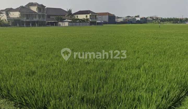 Termurah, Tanah Sawah, Cocok untuk Invest, Untung Besar di Riung Bandung