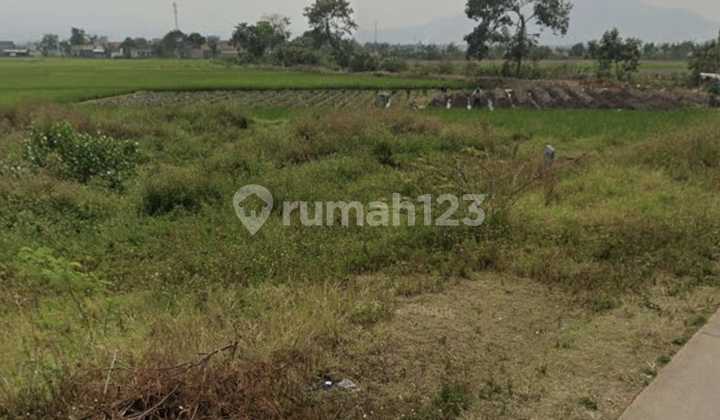 Dijual Tanah Murah, Lokasi Strategis Kawasan Berkembang, Cck U/ Invest, Kebun Di Rancaekek Dkt Grand Riscon