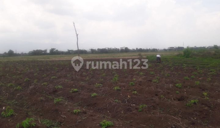 Very Cheap Quick Sale, Land in a Developing Area CCK for Investment, Selling Value Will Increase Significantly, Currently Under Development in Rancaekek Area