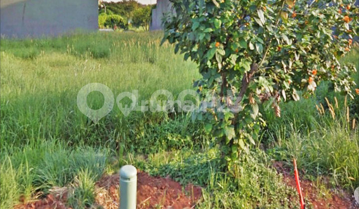 Taman Grisenda Land Plot, PIK, North Jakarta