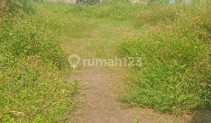 Tanah Dijual Dumpit Strategis 1.1ha