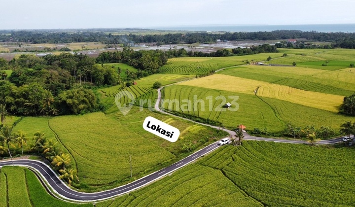 Land for Sale with Rice Field and Sea Views, 1 KM from Abiankapas Beach, East Selemadeg, Tabanan