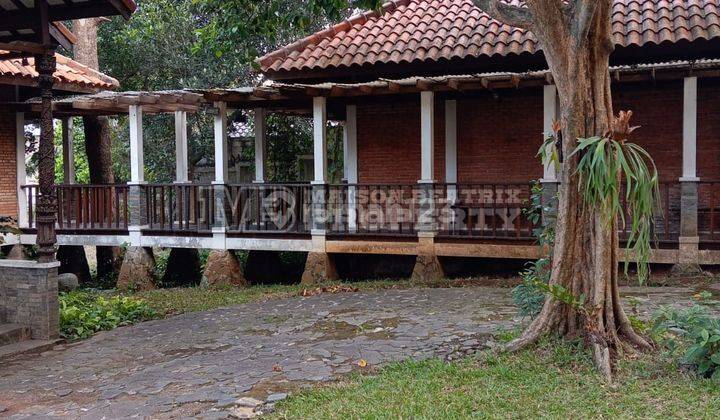 Dijual Cepat Rumah Tua Dengan Halaman Yang Luas Lokasi Strategis Di Beiji Depok 1