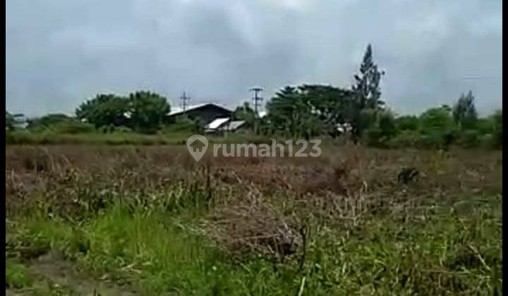 Dijual tanah tuban 4 hektar jalam nasioanal 10