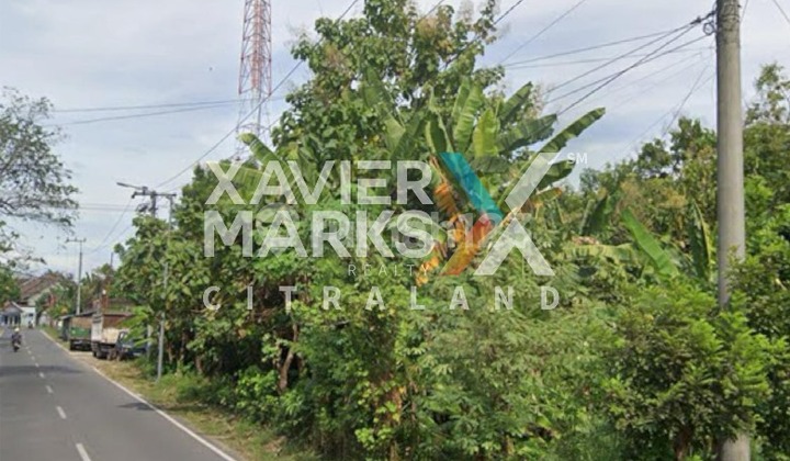 TANAH JL. MANDIRI, DEMANGAN MADIUN TANAH JL. MANDIRI, DEMANGAN MADIUN