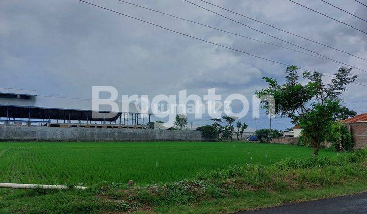 TANAH KERING LEBAR DEPAN 200 METER ZONA MERAH INDUSTRI 1