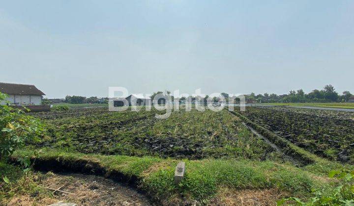 TANAH KERING ZONA MERAH INDUSTRI LEBAR DEPAN 20 METER 2