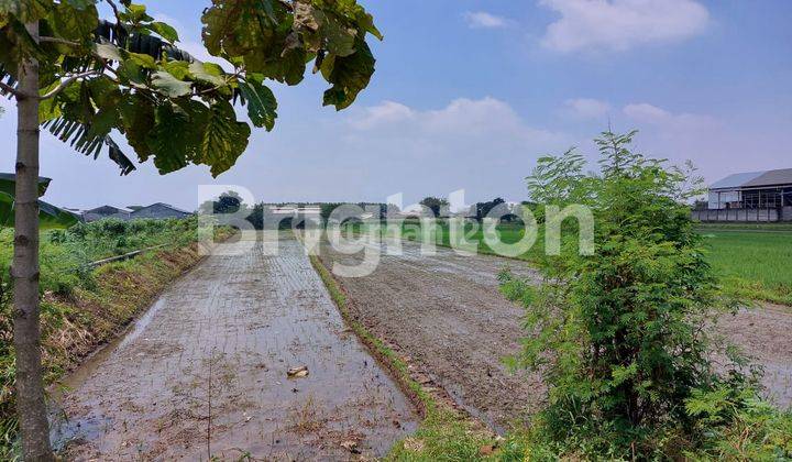 TANAH ZONA MERAH INDUSTRI BERAT KLATEN 1