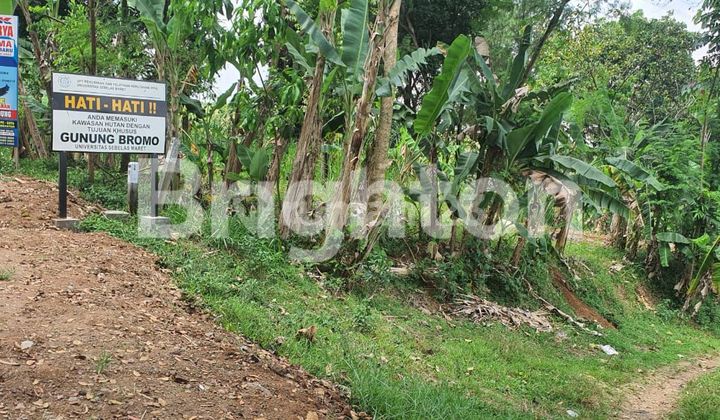 WIDE FRONT LAND 60 METER IN GEDONG KARANGANYAR AREA