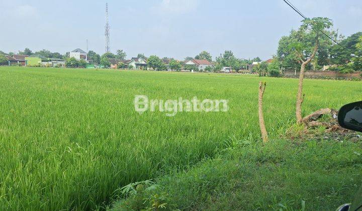 TANAH ZONA KUNING, LEBAR DEPAN +/- 50 METER, AREA BAKI SUKOHARJO 1