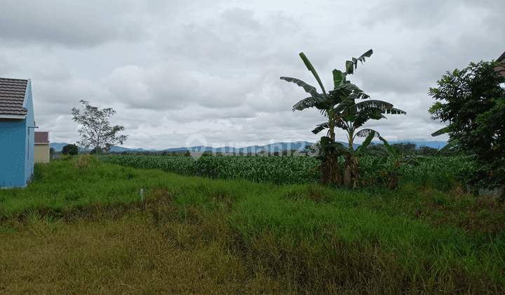Dijual Tanah Di Banjarmasin 2