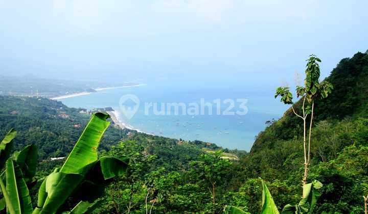 DIJUAL TANAH 11.010 M2 DI CISOLOK, SUKABUMI, JAWA BARAT