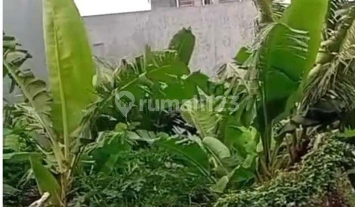 Dijual Kavling Di komplek Marina Cove, Pademangan, Jakarta Utara Dijual Kavling Di komplek Marina Cove, Pademangan, Jakarta Utara