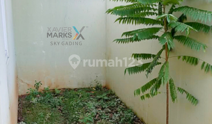 New House in Binong Asri Cluster - Tangerang Regency New House in Binong Asri Cluster - Tangerang Regency