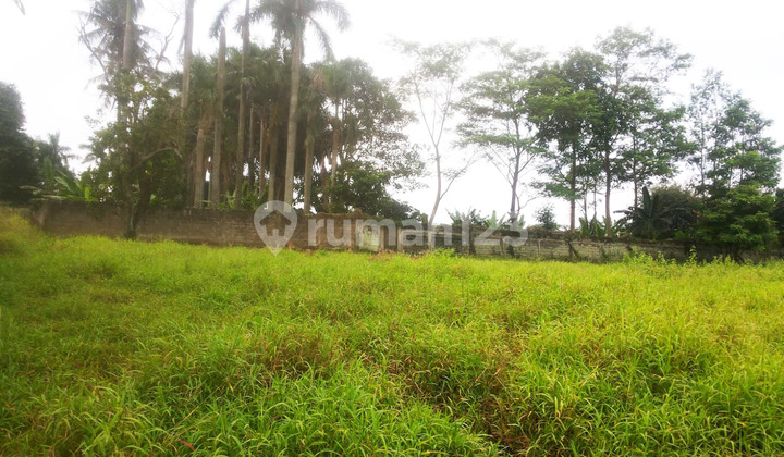 Kesempatan Emas! Tanah Strategis Dijual di Sukatani, Depok Kesempatan Emas! Tanah Strategis Dijual di Sukatani, Depok