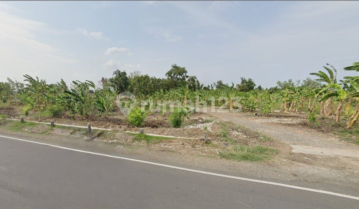 1.5 HECTARES OF LAND ON JATIBARANG HIGHWAY, INDRAMAYU, WEST JAVA 1.5 HECTARES OF LAND ON JATIBARANG HIGHWAY, INDRAMAYU, WEST JAVA