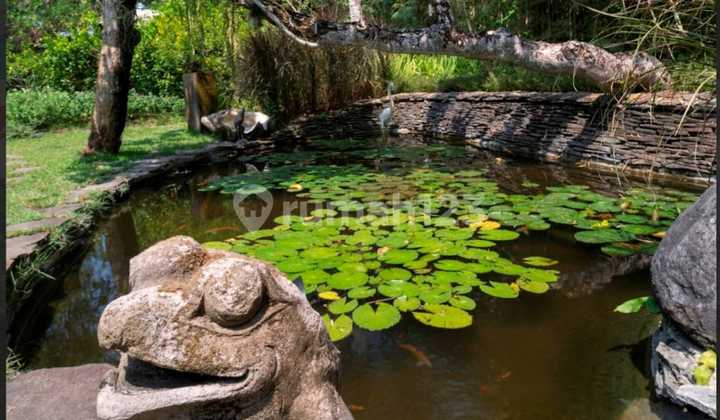 Villa for Sale with Spacious Land and River View in Cepaka, Tabanan