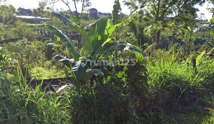 Dijual Kebun Lokasi Pinggir Jalan Utama Pelaga Petang Badung View Pegunungan 2