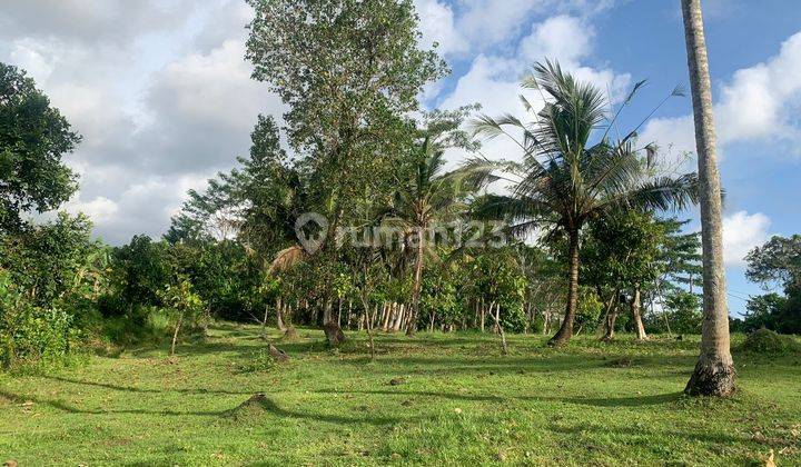 For Sale Land Garden Los Sungai Location Bengkel Sari Near Soka Beach Tabanan 2