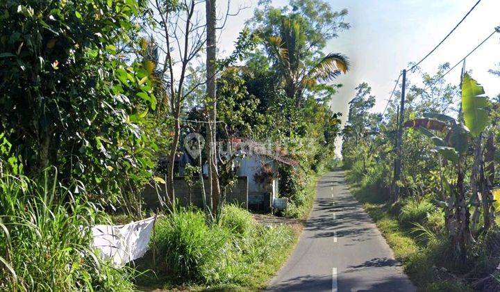 Dijual Kebun Lokasi Tegallalang Taro Gianyar Akses Jalan Aspal 1